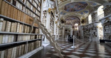 ‘World’s most enchanting’ library looks like a fairytale