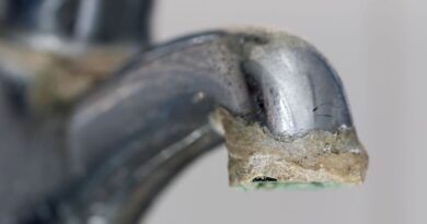Cleaner says 1 ‘unlikely’ item will remove limescale from taps