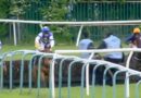 Horse racing panic as terrified staff forced to flee to avoid being trampled | Racing | Sport