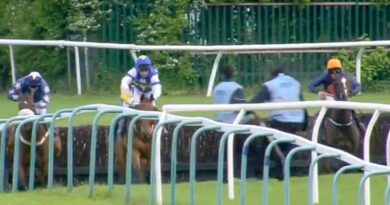 Horse racing panic as terrified staff forced to flee to avoid being trampled | Racing | Sport