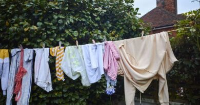 Families urged to stop using clothes pegs this summer