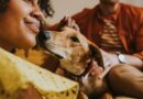 Vet says what it really means when your dog licks your face