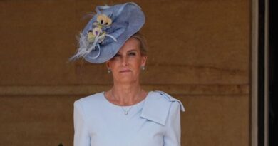 Duchess Sophie looks incredible at Buckingham Palace garden party | Royal | News