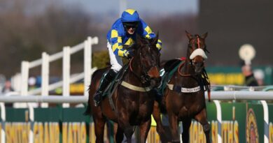 Iconic Grand National winning horse dies as emotional statement issued | Racing | Sport