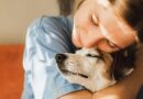 ‘I’m a vet and here are 3 things I wish all pet owners knew’