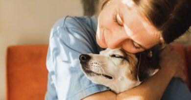 ‘I’m a vet and here are 3 things I wish all pet owners knew’