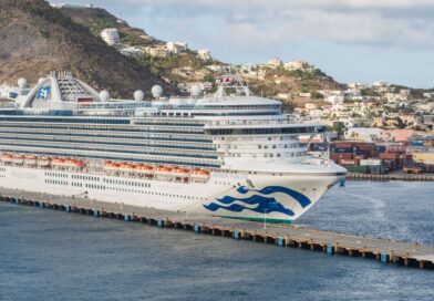 Panic as cruise ship with 110 people sick with norovirus docks in Florida | World | News