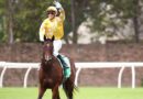 Royal Ascot horse stung by stingray and hospitalised after freak accident | Racing | Sport