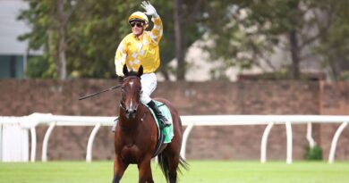 Royal Ascot horse stung by stingray and hospitalised after freak accident | Racing | Sport