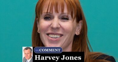 Angela Rayner has been cleared of tax fraud – and something doesn’t add up | Personal Finance | Finance