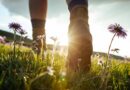 All Brits must watch out for ‘UK’s most dangerous insect’ during walks
