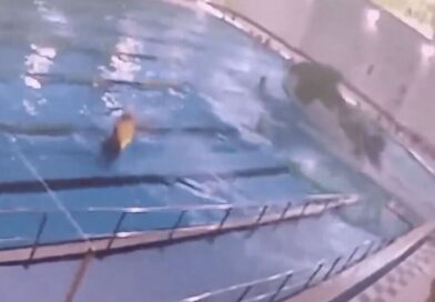 Horror moment woman’s car flies into pool after crashing through wall | World | News