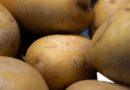 Potatoes stay fresh ‘for weeks’ when you place them in 1 area of home