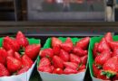 Strawberries last 2 weeks longer when one task is completed