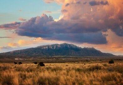 UFO files latest: Sightings of ‘green orbs’ were reported near New Mexico | World | News