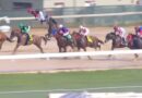 Horror fall sends jockey flying in terrifying horse racing incident | Racing | Sport