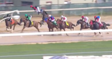 Horror fall sends jockey flying in terrifying horse racing incident | Racing | Sport