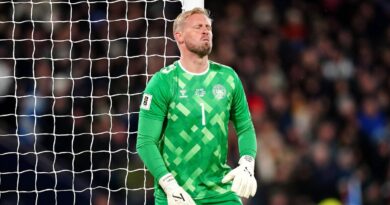 Premier League hero immediately retires after suffering career-ending injury | Football | Sport