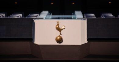 Lewis family promise to rebuild trust at Tottenham in letter to supporters | Football | Sport