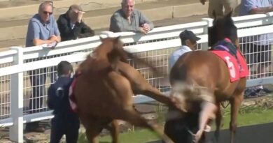 Horrifying moment racehorse violently kicks female trainer in head | Racing | Sport