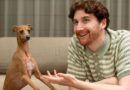 Top 25 questions pet owners wish they could ask their furry companions revealed