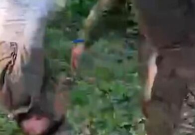 Horror as Putin soldier wrapped in clingfilm upside down and beaten in shock punishment | World | News