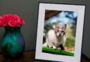 Aura’s Aspen digital frame is $30 off for Mother’s Day