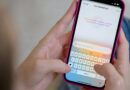 Apple could let you pick a favorite AI model in iOS 27