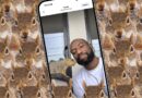 How the internet’s favorite squirrel dad made a hit camera app