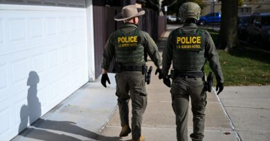 Trump’s mass deportations are impossible without racial profiling