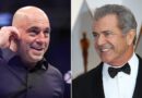 Mel Gibson’s Joe Rogan spot spiked cancer ivermectin prescriptions