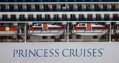 Caribbean Princess hit by norovirus, sickening 102 passengers and 13 crew