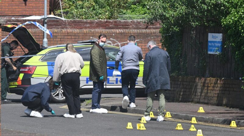 Brutal stabbing attack in Belfast sparks calls for anti-immigration protests in Northern Ireland Brutal stabbing attack in Belfast sparks calls for anti-immigration protests in Northern Ireland