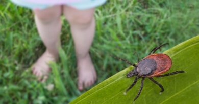 Dangerous tick-borne virus spreading to more Americans, experts warn