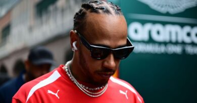 Lewis Hamilton incites rage after confirming who he’ll support at World Cup | F1 | Sport
