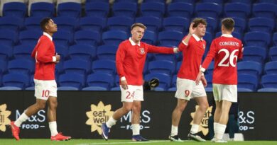 How to watch Romania vs Wales free tonight – TV channel, stream, time | Football | Sport
