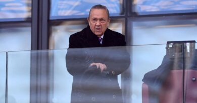 West Ham star supports David Sullivan after club exit over allegations | Football | Sport