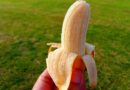 Gardeners urged to bury banana peels in soil this June