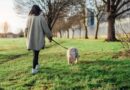 3-minute dog trainer tip ‘makes pooches calm and attentive’ on walks