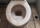 Not vinegar or bleach – remove brown toilet stains fast with 2 methods