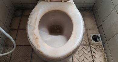 Not vinegar or bleach – remove brown toilet stains fast with 2 methods