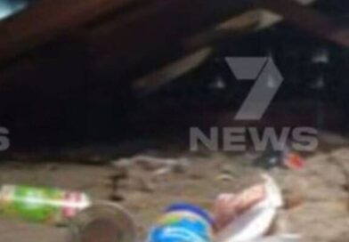 Grandmother finds unwelcome guest living in her attic after ‘loud thud’ | World | News
