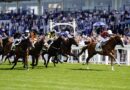 Packed racing pullouts and reader offers every day of Ascot with your | Racing | Sport