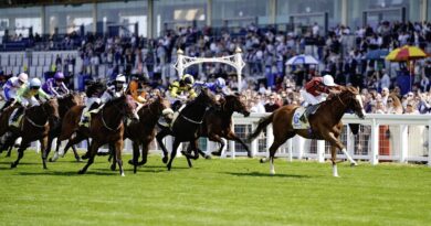 Packed racing pullouts and reader offers every day of Ascot with your | Racing | Sport
