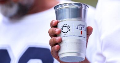 World Cup stadium food and drink prices leaked with £14 beers | Football | Sport