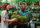 UK garden centre giant plunged into administration owing £803m | UK | News