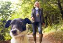 Dog walkers could face up to £500 fine from June 29th