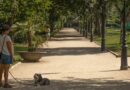 Pet expert reveals the breeds that suffer most in a heatwave