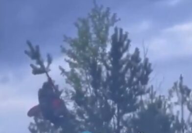 Moment Russian falls from top of giant tree as he tries to fly flag | World | News