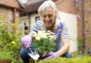 Pensioners working after they reach 66 urged to check | Personal Finance | Finance
